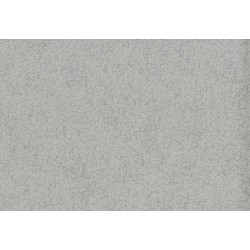 Papel pintado gris claro Fantasy ref. 6597-30