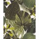 Papel pintado Oxygen hojas verde