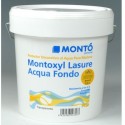 Montoxyl Lasure Acqua Fondo Montó.